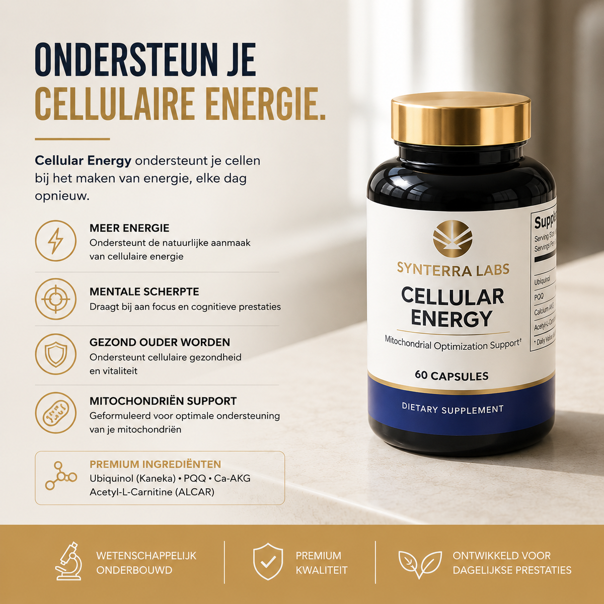 Cellular Energy