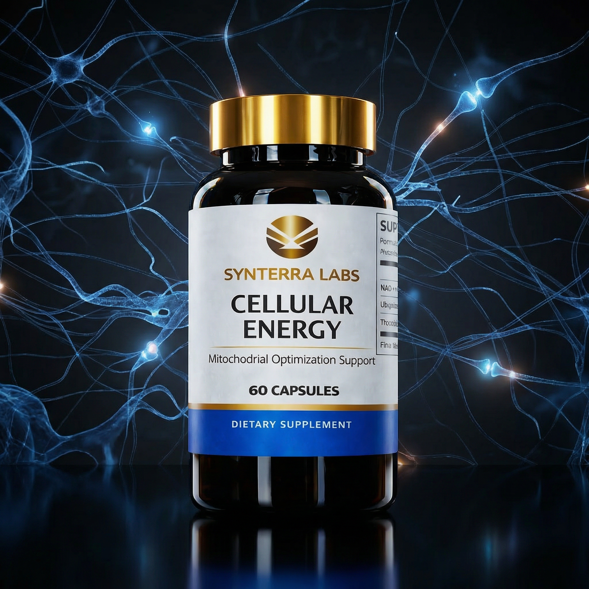 Cellular Energy